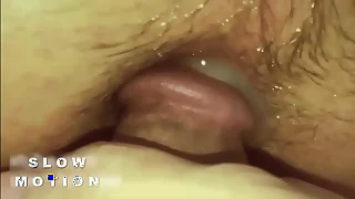 569 gay bareback porn videos